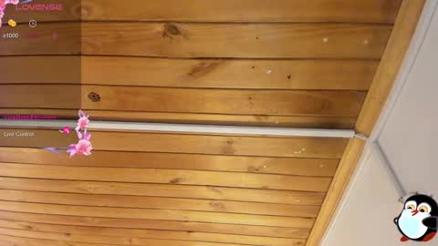 Cristal online show from March 16, 4:15 am