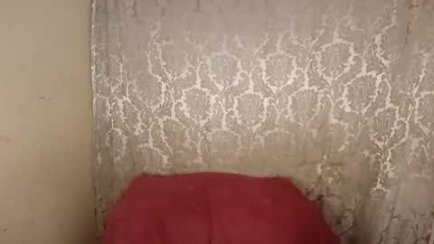 carol     online show from April 6, 2:33 am