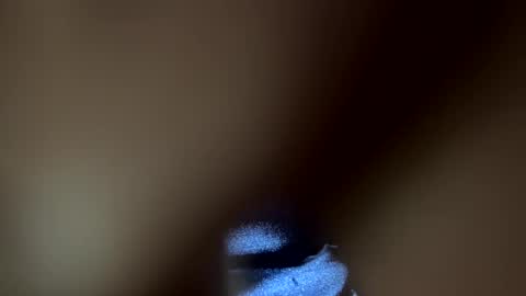 im KIM new girl to spoil online show from February 9, 5:01 pm