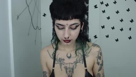 dakota online show from January 14, 11:20 am