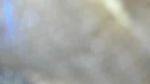 Dalia April online show from March 2, 2:00 am