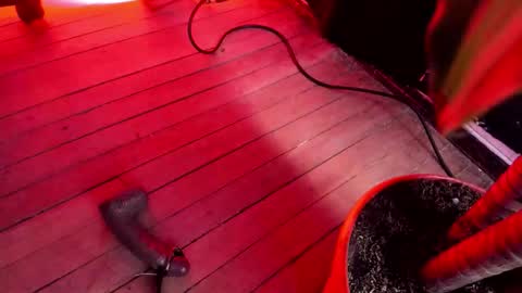 dayanporn online show from March 4, 5:52 pm