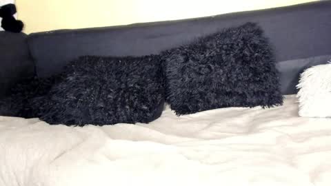 deli_la online show from April 5, 2:43 am