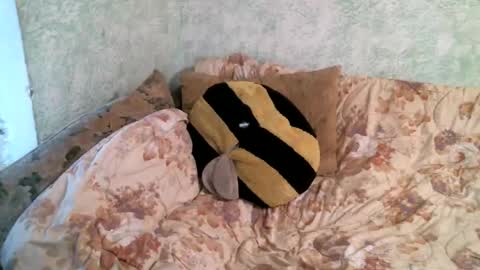 DennisXCarol online show from April 16, 7:19 am