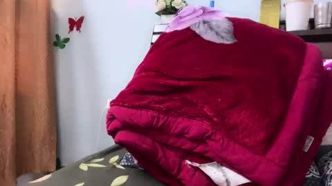 simran online show from October 23, 4:18 am