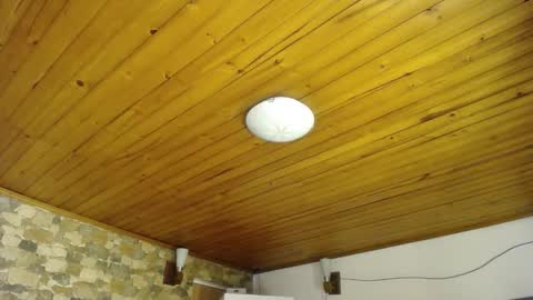 Velma Dinkley online show from November 12, 9:46 pm