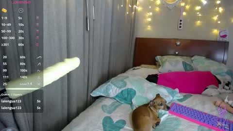 Sophia online show from November 13, 4:00 am