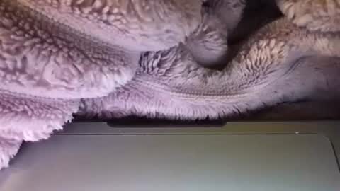 eliterd online show from September 22, 3:27 am