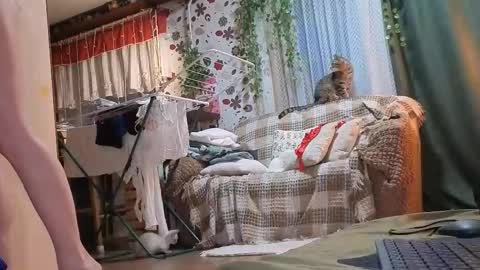 Emi  online show from February 21, 3:13 pm