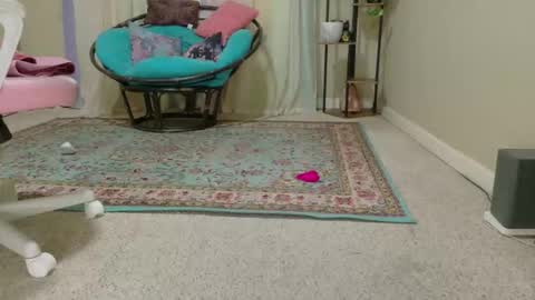 emily haze online show from April 8, 5:48 pm