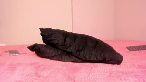 Emmi online show from February 23, 2:49 pm