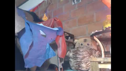 Eskela911 online show from February 27, 11:37 pm