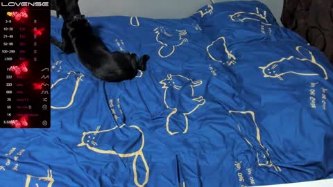 Eva online show from January 19, 1:01 pm