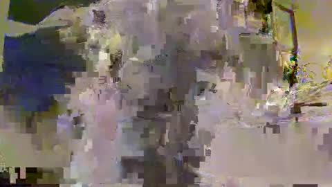 evershonk online show from May 25, 11:15 pm