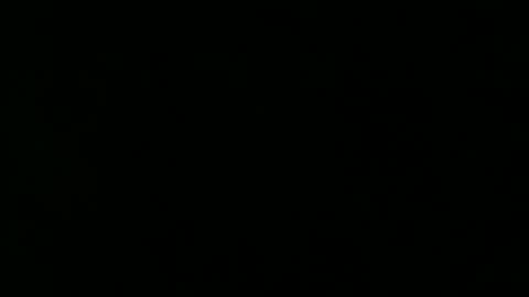 Fae online show from November 10, 10:54 am