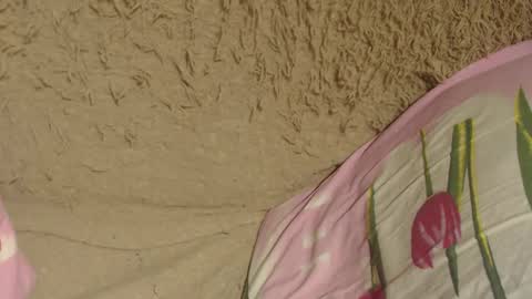 Snapshot of flowercandydoll chatting on December 9, 7:07 pm say meow and send tip  online show from December 9, 7:07 pm