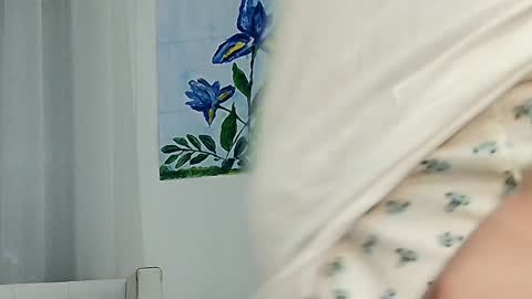 Snapshot of flymybutterfly chatting on December 28, 7:01 pm flymybutterfly online show from December 28, 7:01 pm