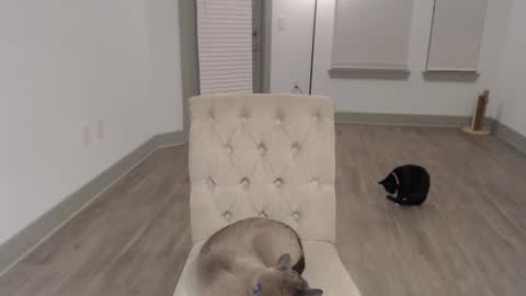 Snapshot of fragilemasochist chatting on February 2, 7:30 am Angel online show from February 2, 7:30 am