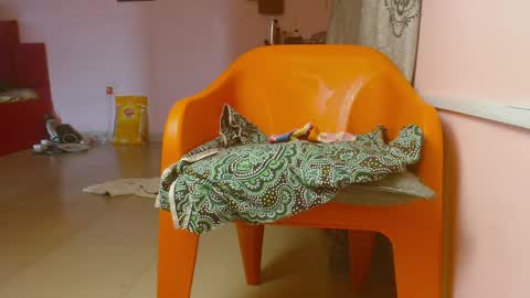 luna online show from March 4, 7:26 am