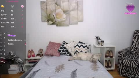 Gies online show from February 22, 8:43 pm