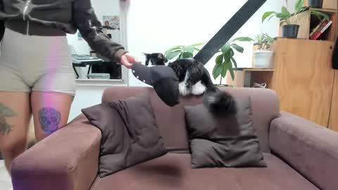 girasol1921 online show from January 20, 7:35 pm