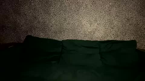 gothmoon_ online show from March 29, 7:46 pm