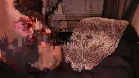 HailWilds online show from February 1, 6:54 am