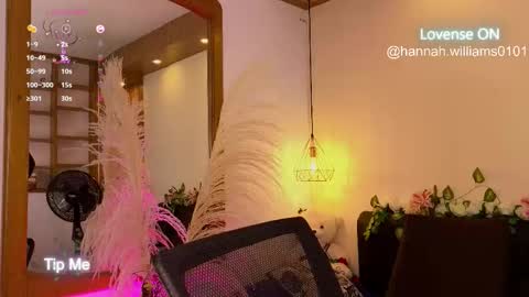 Hannah Williams online show from November 5, 11:10 pm