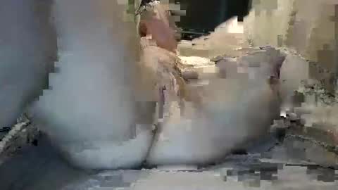 Snapshot of hazelbasil32728 chatting on October 8, 1:48 pm hazelbasil32728 online show from October 8, 1:48 pm