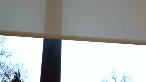 Snapshot of heatwavee chatting on December 29, 2:00 pm heatwavee online show from December 29, 2:00 pm