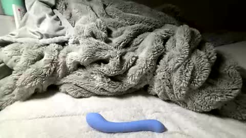 Bondage blondiie online show from May 20, 3:47 am