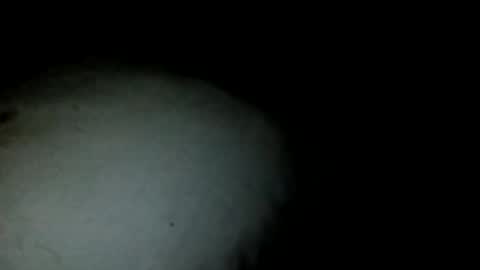 hicvzzcieepw online show from October 31, 7:56 am