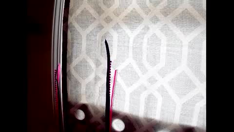 Highnesscali37 online show from December 7, 8:16 pm