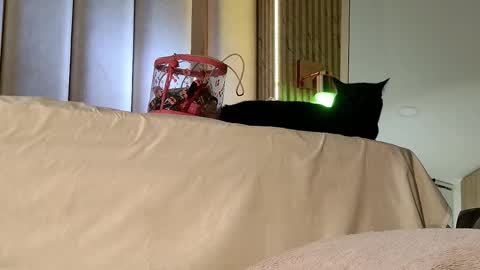 Nyxy online show from November 20, 10:05 am