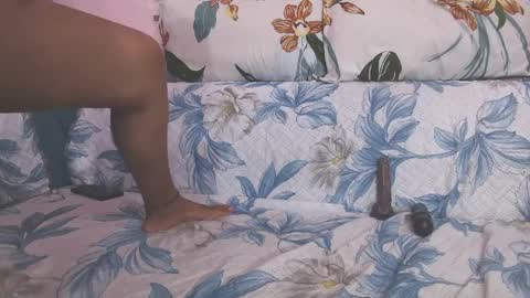 Parul online show from April 3, 8:12 am