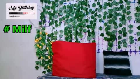 Tiger online show from February 3, 6:24 am