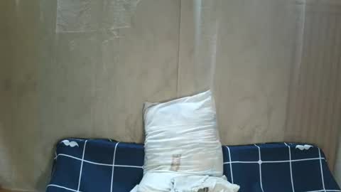 Snapshot of irishpie69 chatting on October 11, 3:00 am shirin online show from October 11, 3:00 am