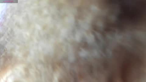Snapshot of isangel_ chatting on October 21, 2:26 am Isabela  online show from October 21, 2:26 am