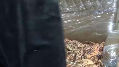 ishika_ishu online show from February 13, 3:30 am