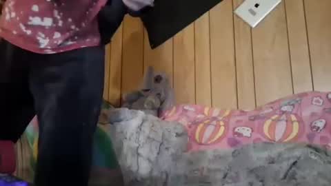 Girlnextdoor online show from January 17, 5:53 pm