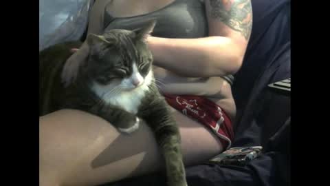 JayaBooty online show from January 19, 1:00 am