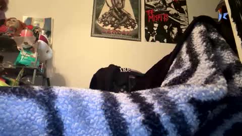 jd online show from November 19, 2:55 am