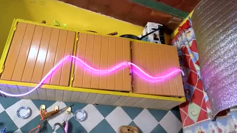 Jony Marta GMT 1400-2000 every day online show from November 14, 2:00 am