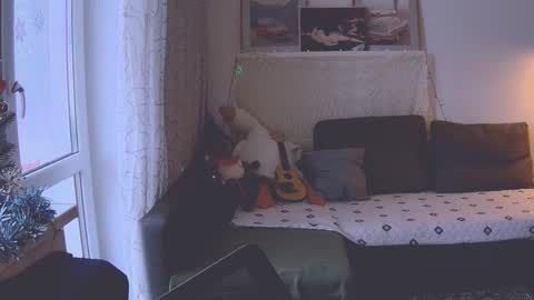 joy_keys online show from January 9, 11:58 am