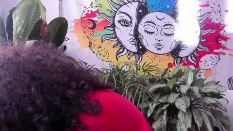 Sofia online show from February 5, 8:14 pm