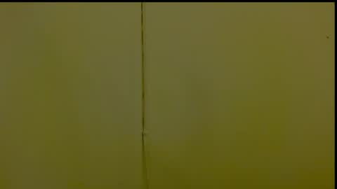 Kamelia  6 am-10 am  4 pm-6 pm online show from December 22, 3:33 am