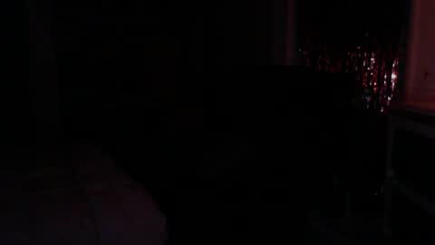 Snapshot of katbrake chatting on September 14, 8:01 am sexykat online show from September 14, 8:01 am