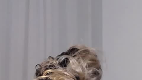 Help me with rate thanks  online show from December 4, 4:43 am