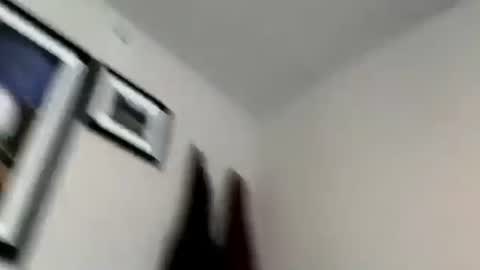 Kinky Keli online show from December 14, 6:35 pm