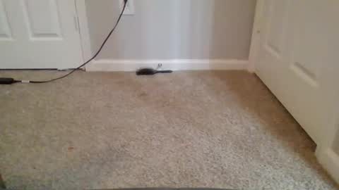 kkristy07 online show from February 21, 2:56 am